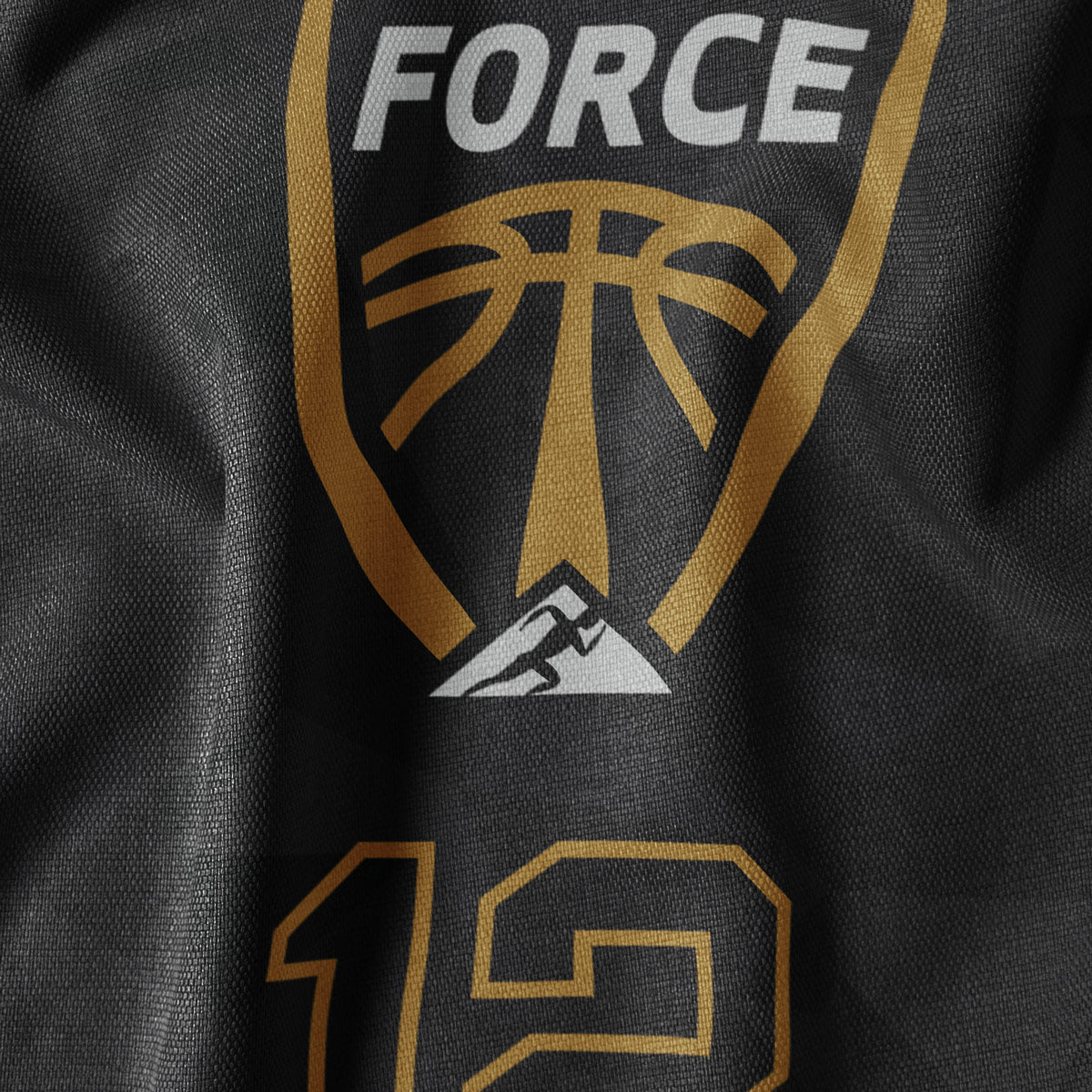 Team Miami Force